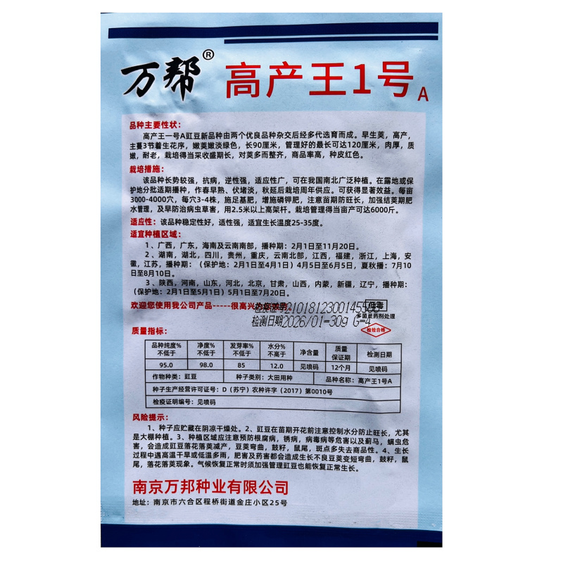 精品挂面王长豆角种籽肉厚耐老化结荚多高产豆角种子春秋播种