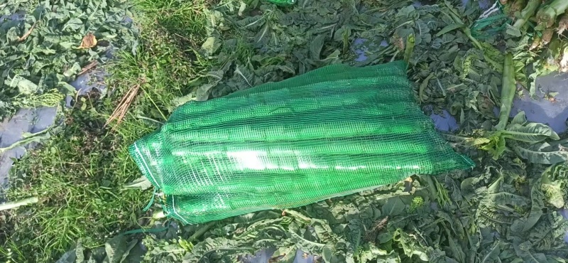 【品质】湖北莴笋杆子不空大量供应对接电商批发各大市场