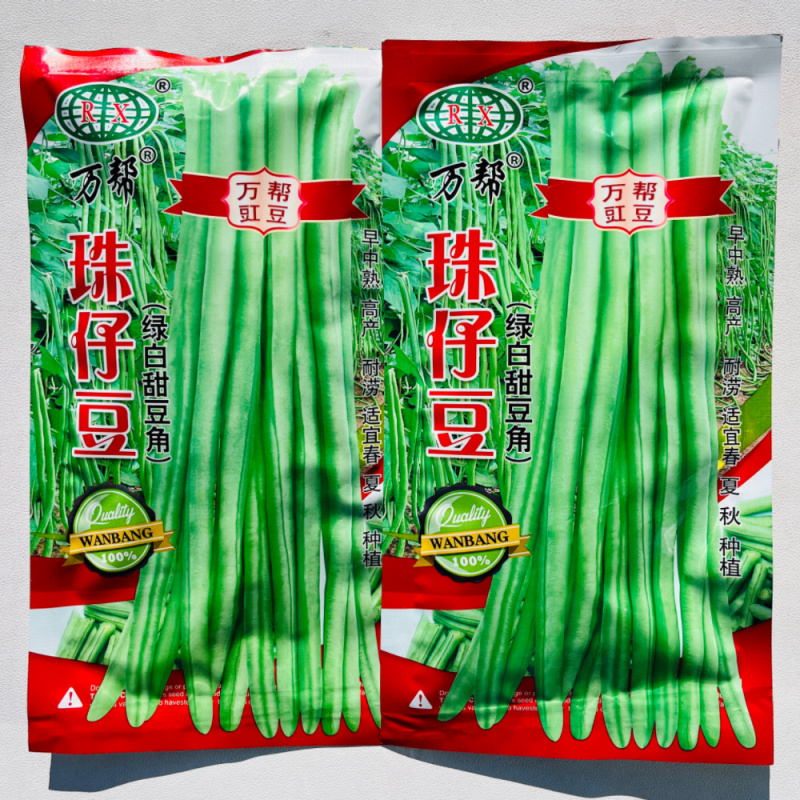 万帮珠籽豆种籽荚粗肉厚耐老化高产长豆角种籽春秋播种架豆种
