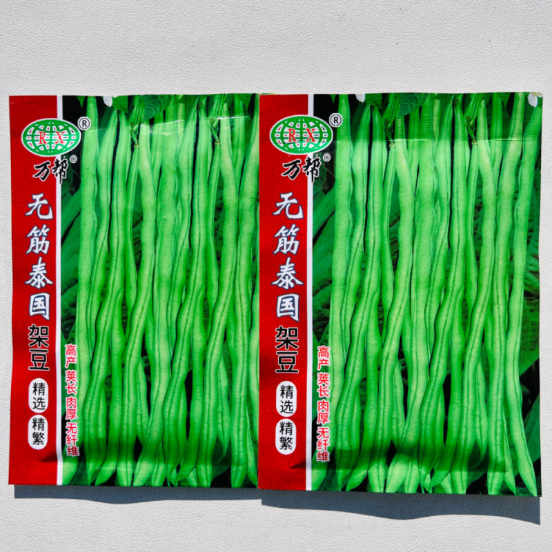 泰国无筋架豆种子翠绿肉厚耐老顺直整齐高产春秋播种架豆种籽