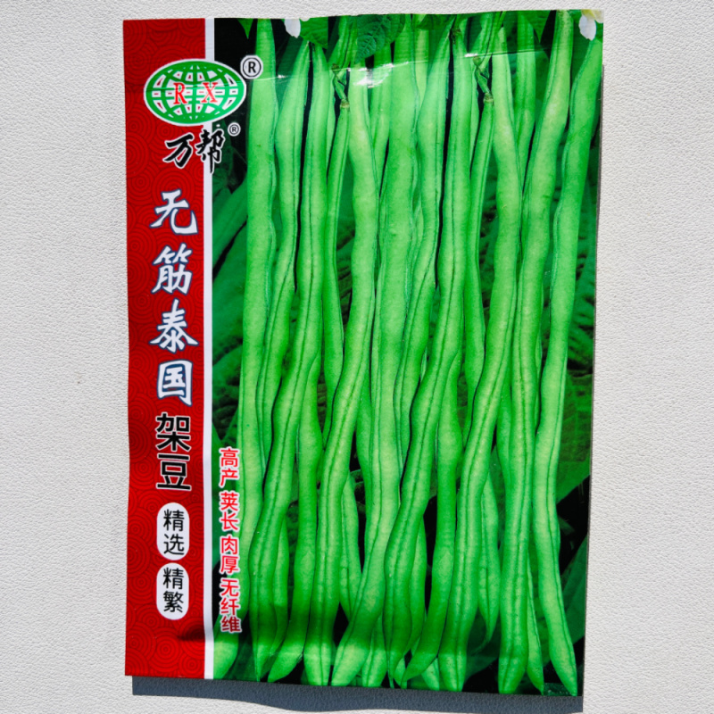 泰国无筋架豆种子翠绿肉厚耐老顺直整齐高产春秋播种架豆种籽
