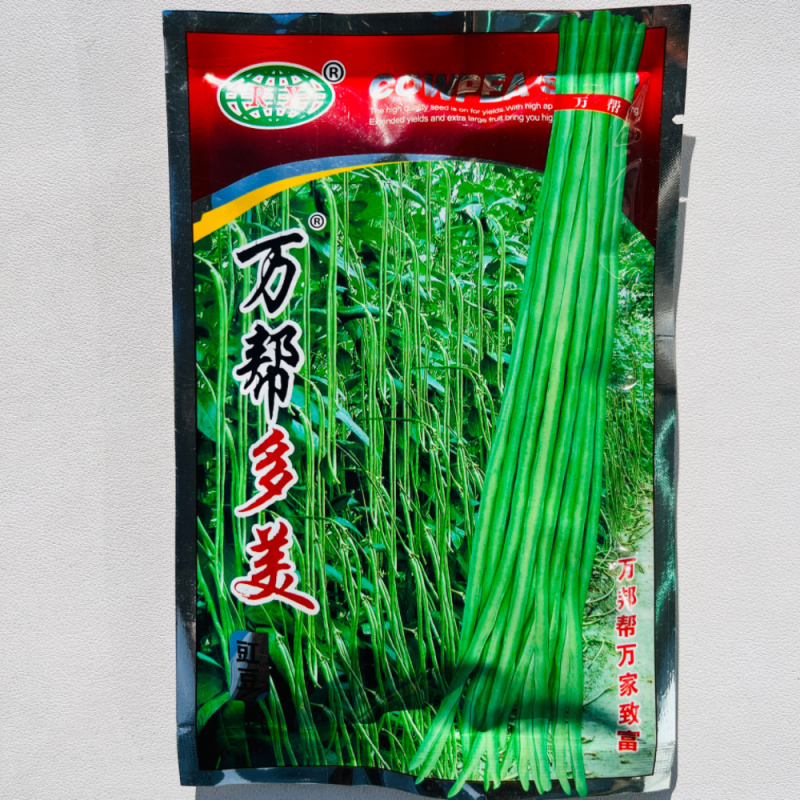 高产王长豇豆种籽翠绿色肉厚鲜嫩高产大田基地种植豆角种子