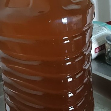 精品茶油一手货源全国发货量大价优欢迎随时联系
