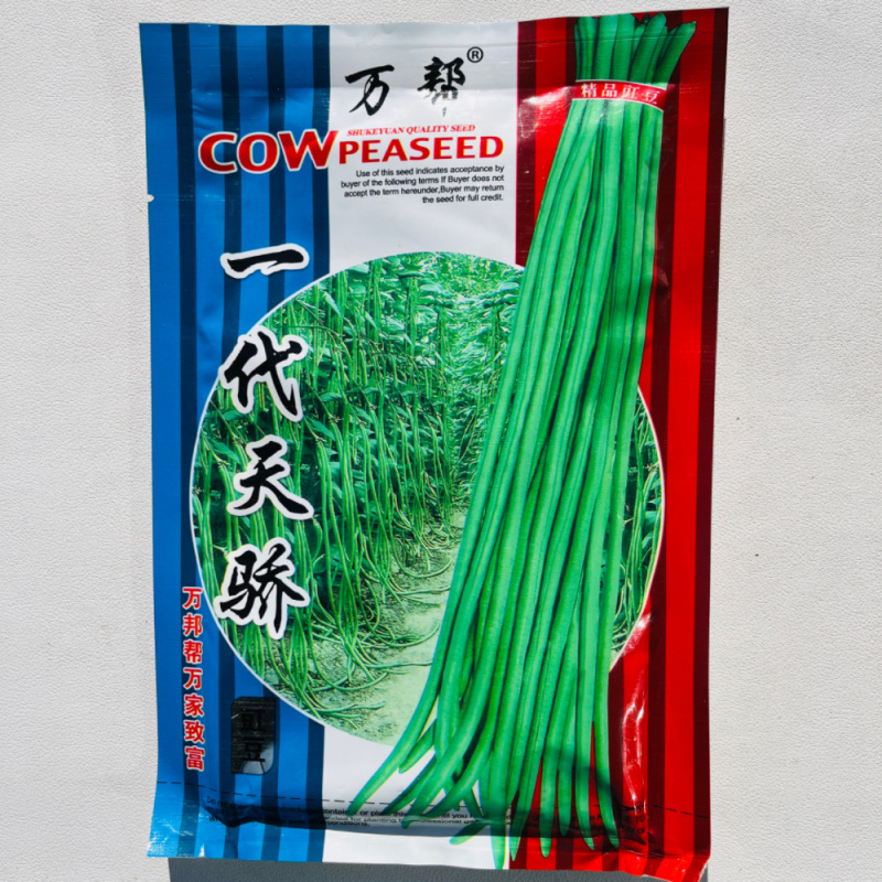 万帮一代天骄长豆角种子中早熟高产肉厚耐老化大田基地种植豆