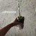 通草苗营养杯营养钵大通草营养袋苗
