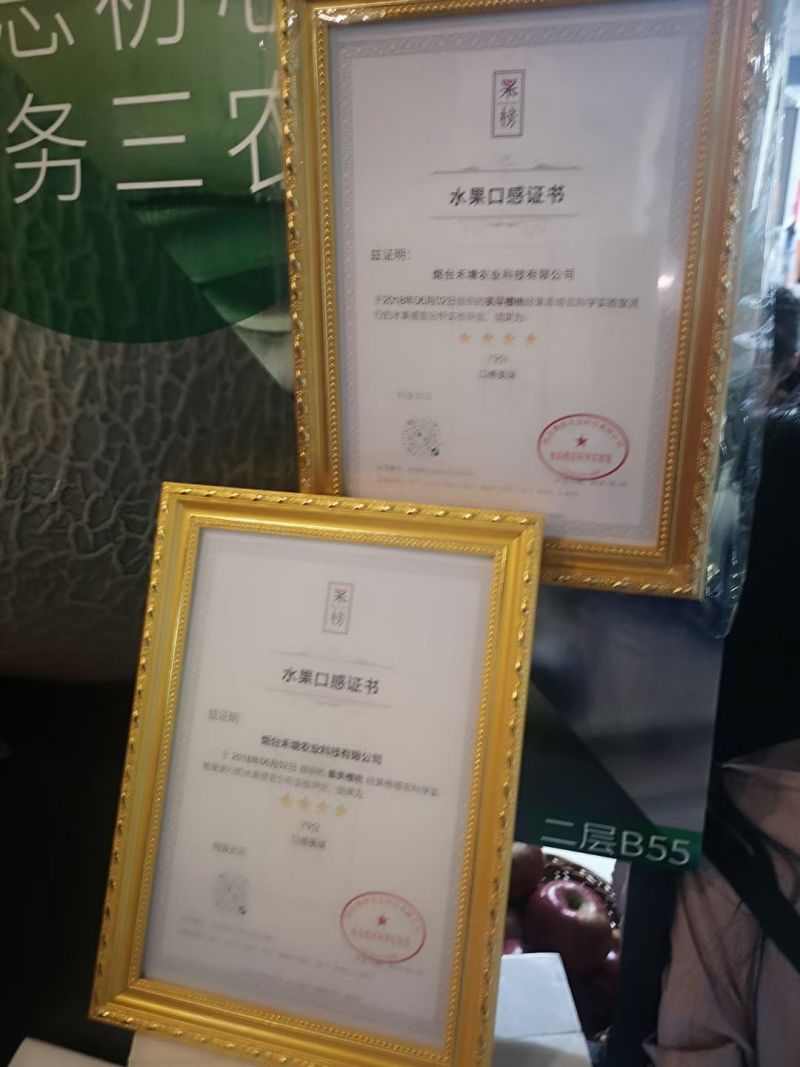 烟台20余亩大樱桃园转让出租，寻找合作伙伴。