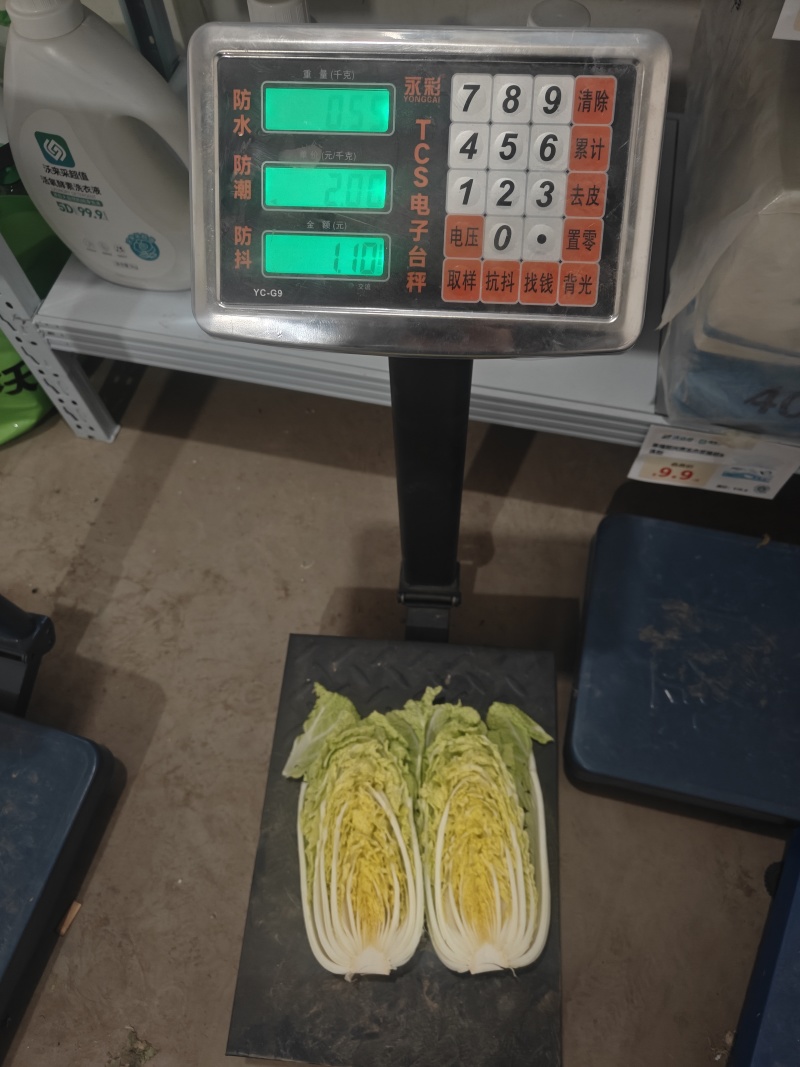 娃娃菜