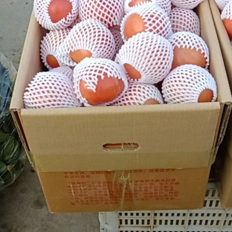 西红柿