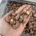 紫衣腰果180大果无坏果大量现货