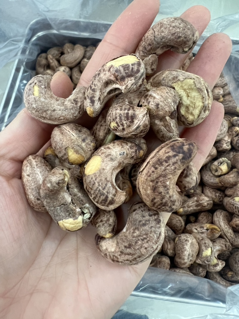紫衣腰果180大果无坏果大量现货