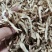中药材全当归头片正品各种规格保质保量批发零售甘肃货
