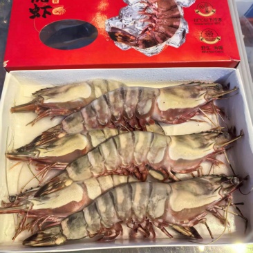 葫芦岛精品虎虾对接酒店电商团购支持一件代发可视单个3两