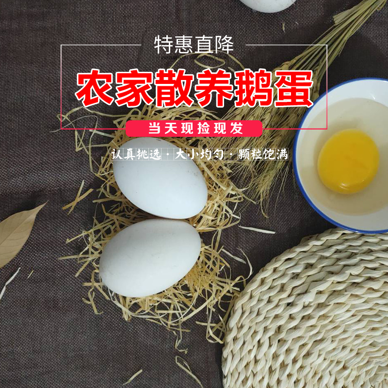 农家梨树下散养鹅蛋批发