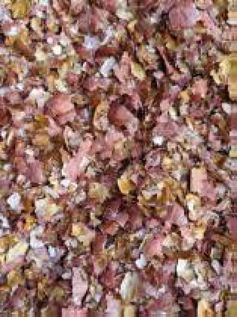 花生红衣大量有货基地直供品质优可视频看货热卖中