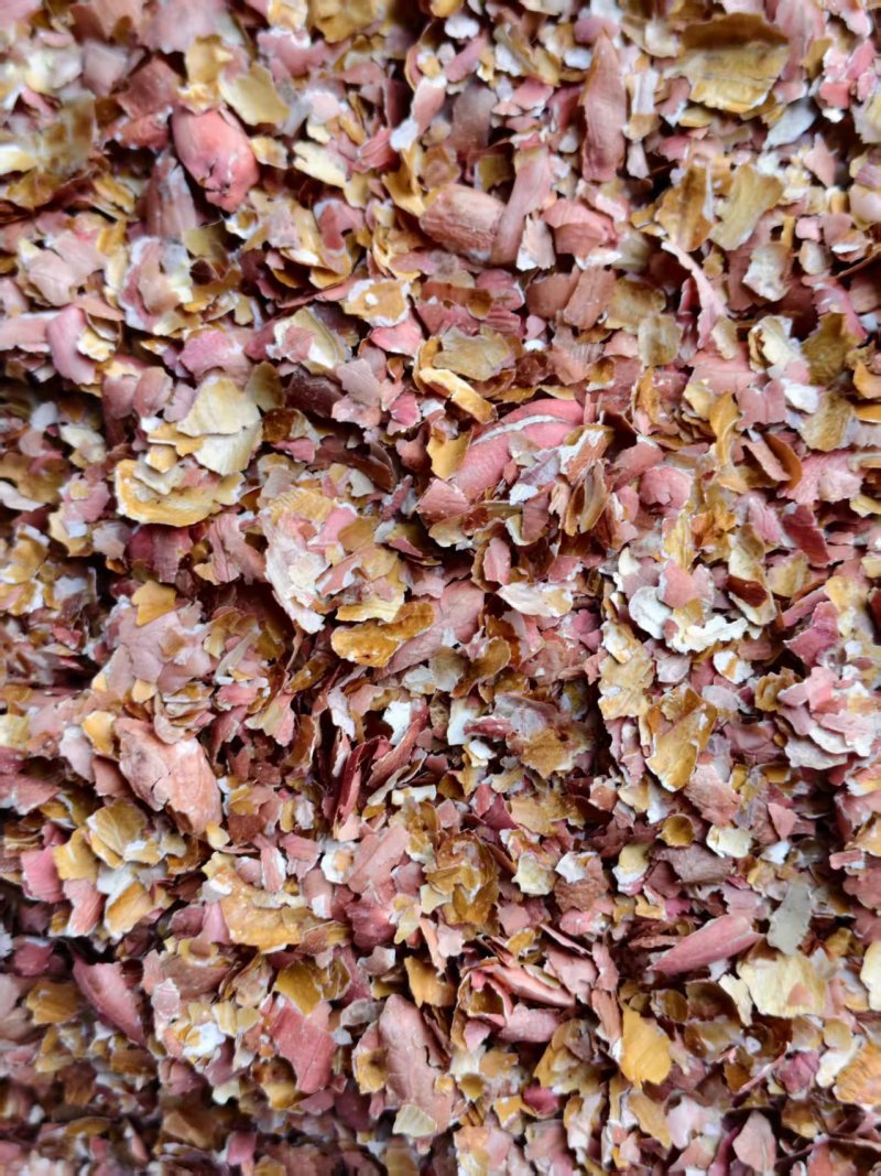 花生红衣大量有货基地直供品质优可视频看货热卖中