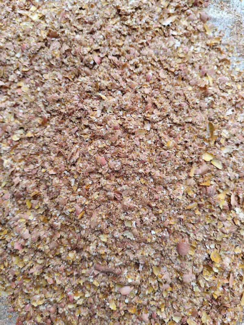 花生红衣大量有货基地直供品质优可视频看货热卖中