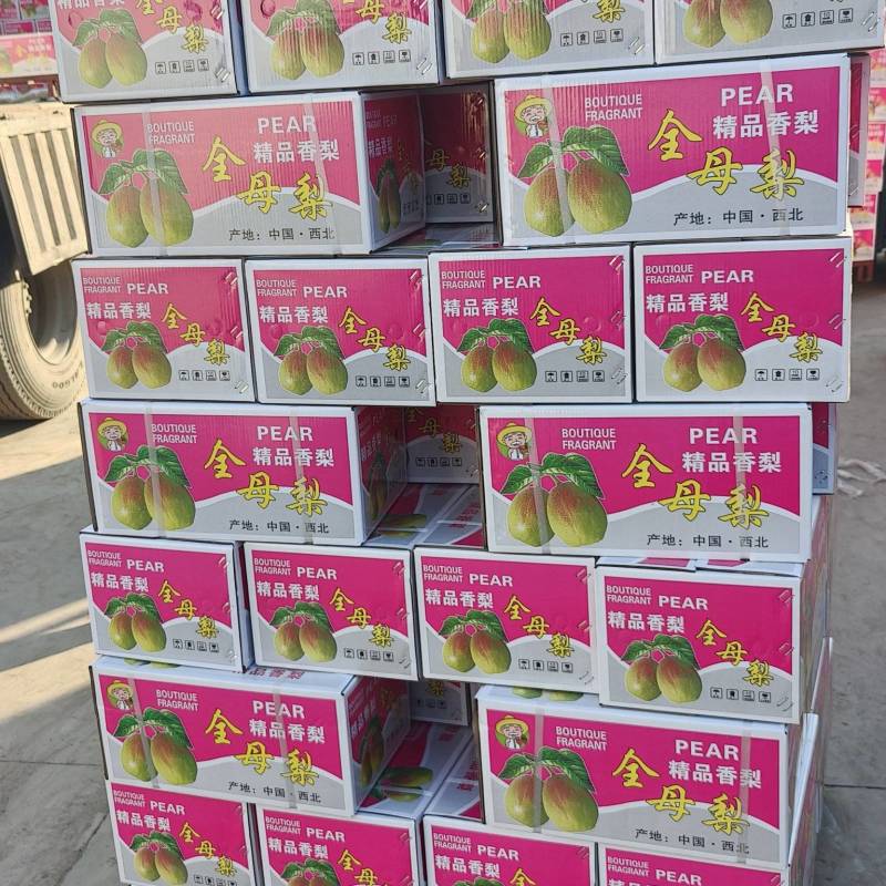 【热卖】红香酥梨产地直销量大质优价格优惠欢迎采购