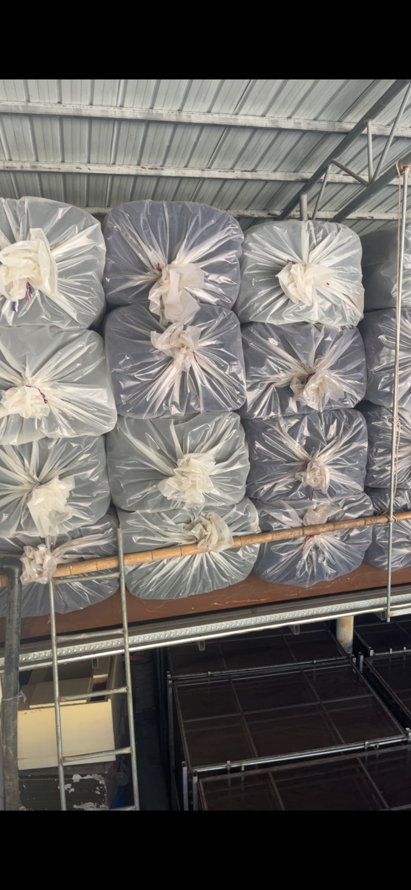 今年头水紫菜量大价优厂家直销欢迎实地考察