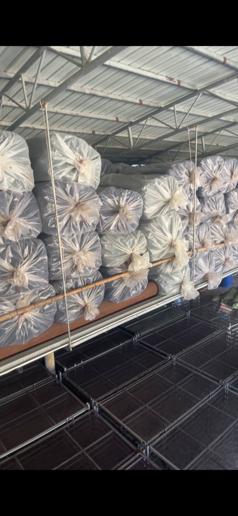 今年头水紫菜量大价优厂家直销欢迎实地考察