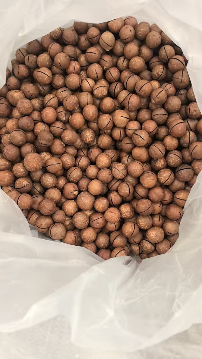 夏威夷果/产区直发/源头工厂/支持订购