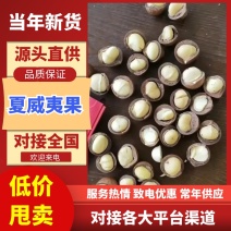 夏威夷果/产区直发/源头工厂/支持订购