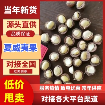 夏威夷果/产区直发/源头工厂/支持订购