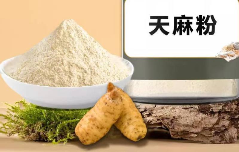 天麻粉