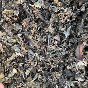水洗精品梅干菜支持全国发货