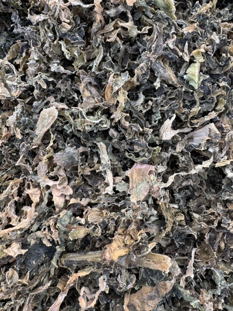 水洗精品梅干菜支持全国发货