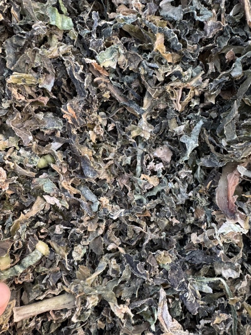 水洗精品梅干菜支持全国发货