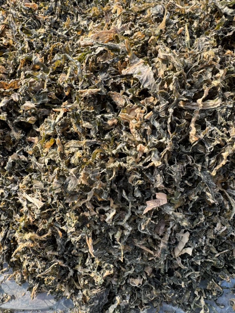 水洗精品梅干菜支持全国发货