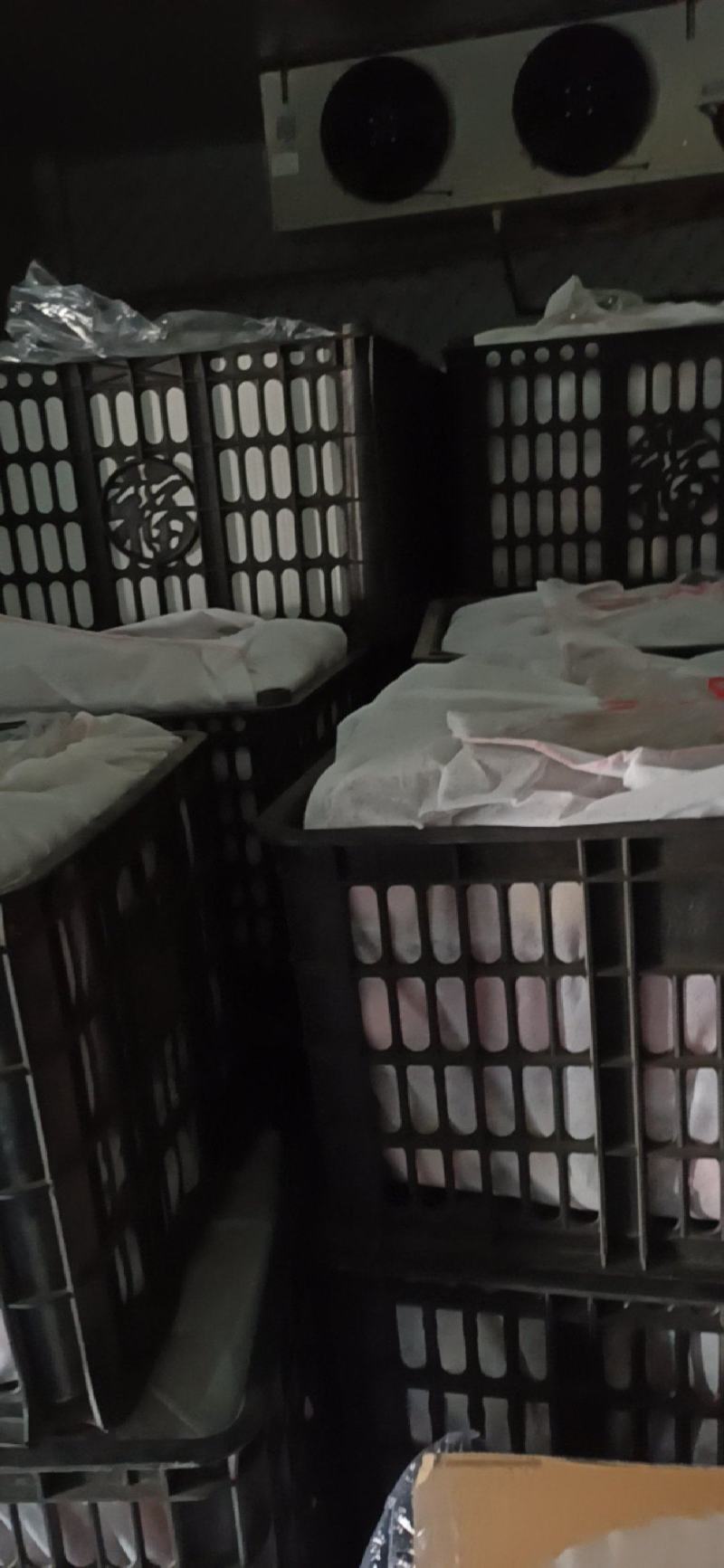 山西高山红富士纸加膜苹果