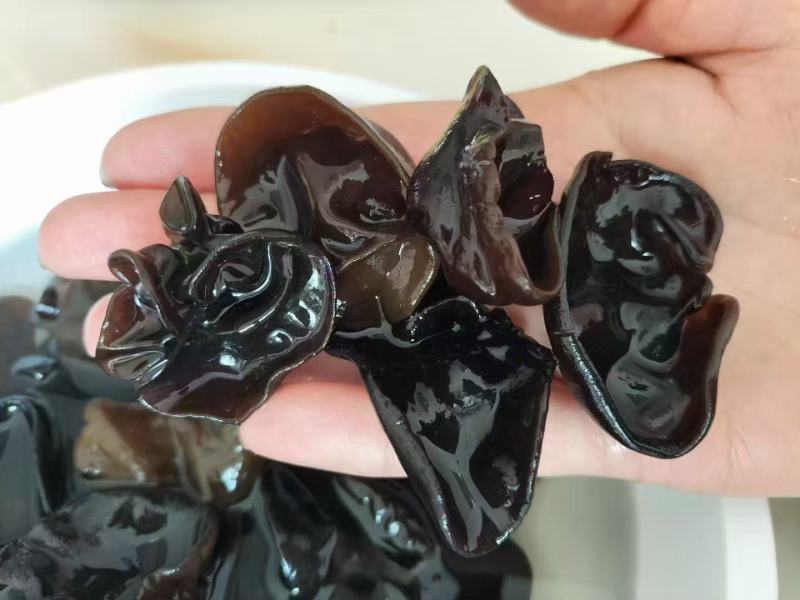 东北黑木耳。大量出货，一箱60斤，包邮，摆摊社区团购超市展会