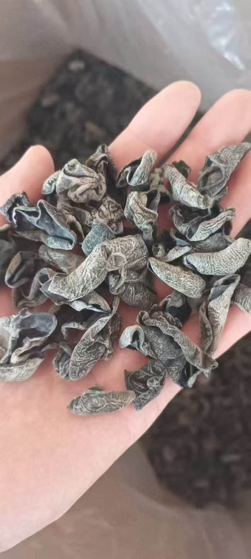 东北黑木耳。大量出货，一箱60斤，包邮，摆摊社区团购超市展会