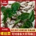 螺丝菜/地环菜/宝塔菜/颜色白亮现挖现发/产地直/全国发