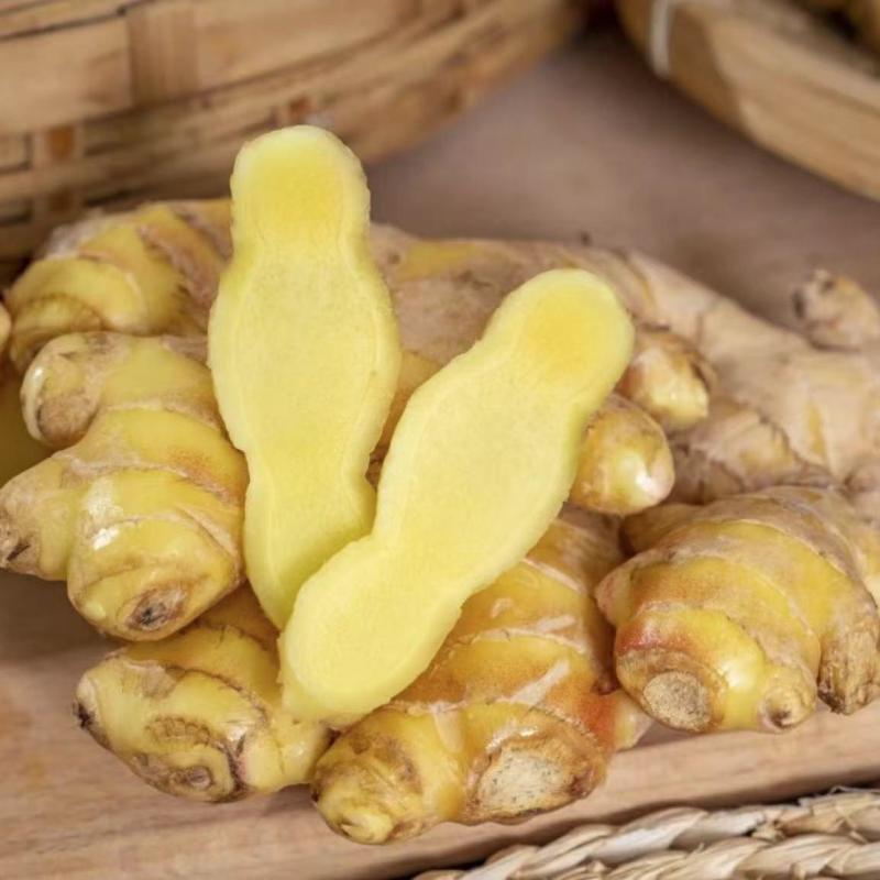 云南鲜姜小黄姜个头饱满辛辣够劲超入味量大批发对接电商市场