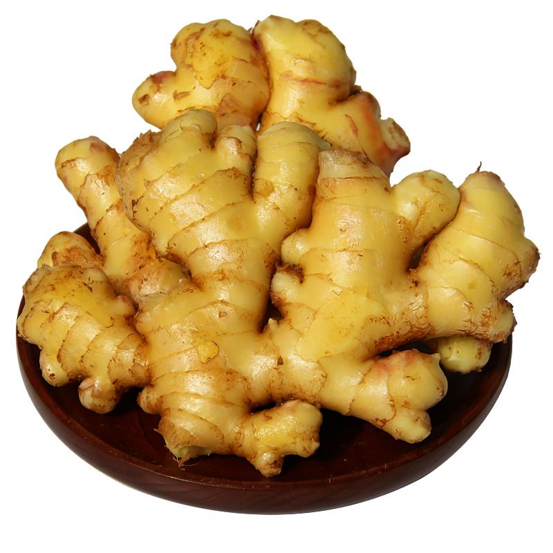 云南鲜姜小黄姜个头饱满辛辣够劲超入味量大批发对接电商市场