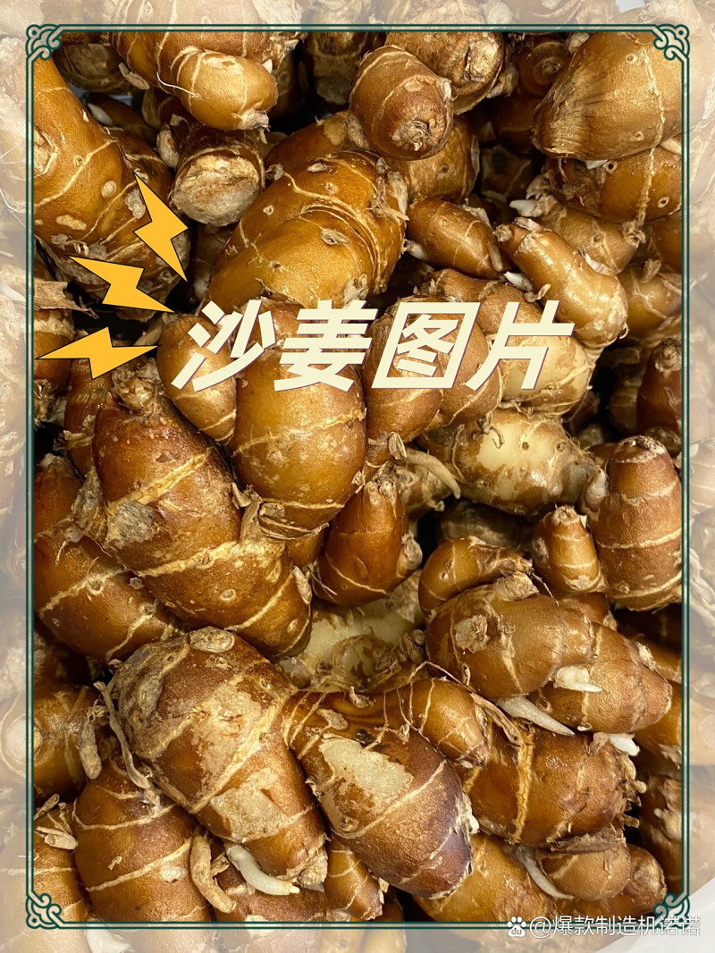 广东省湛江市雷原产地沙姜！味浓是盐焗鸡、沙姜调料好农产品