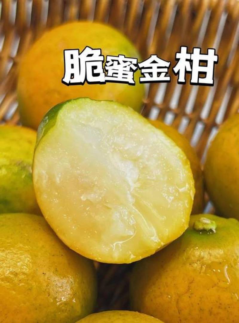 大凉山纯甜脆蜜金桔