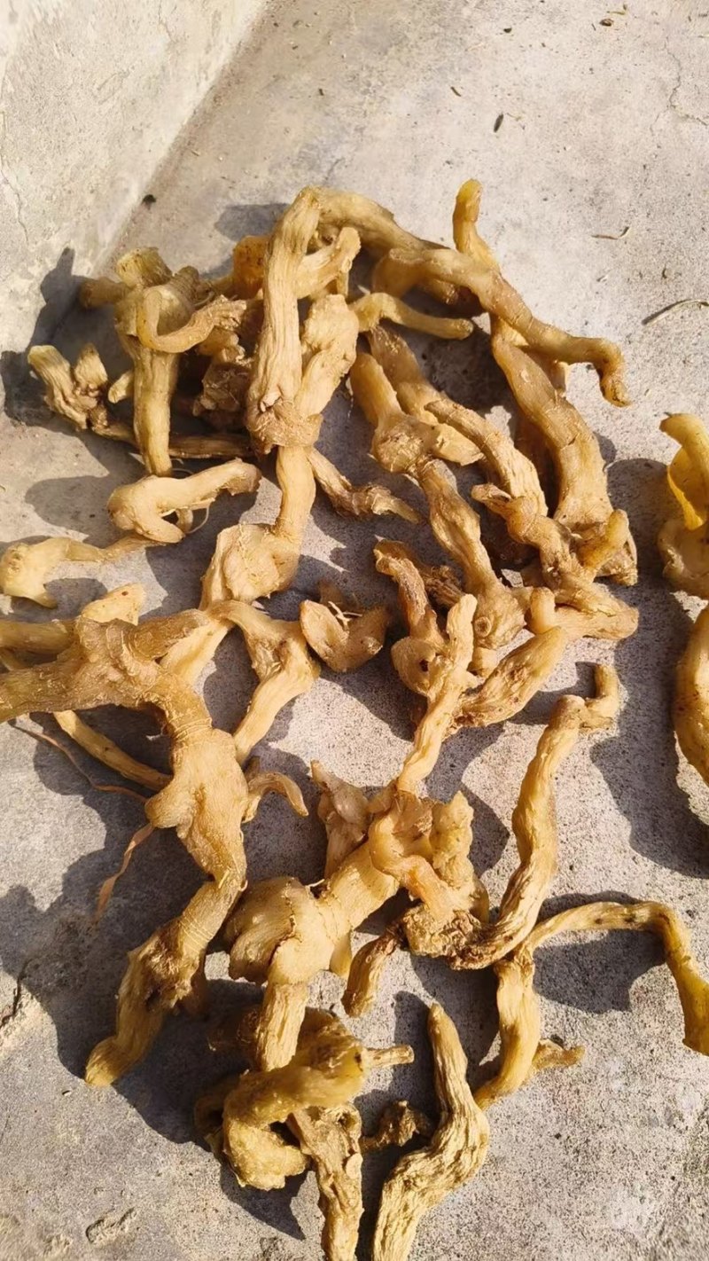 一蒸一晒精品黄精