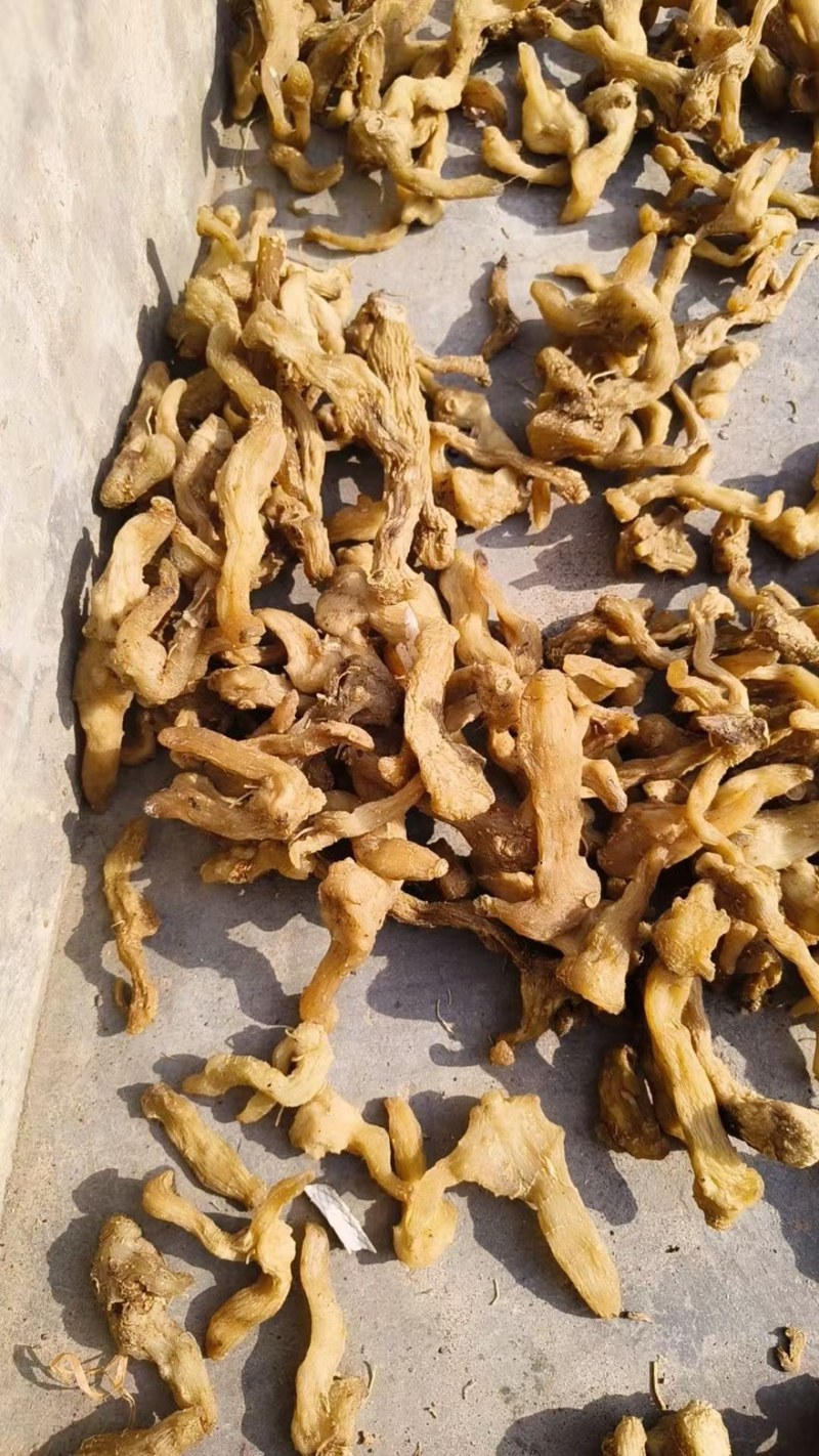 一蒸一晒精品黄精