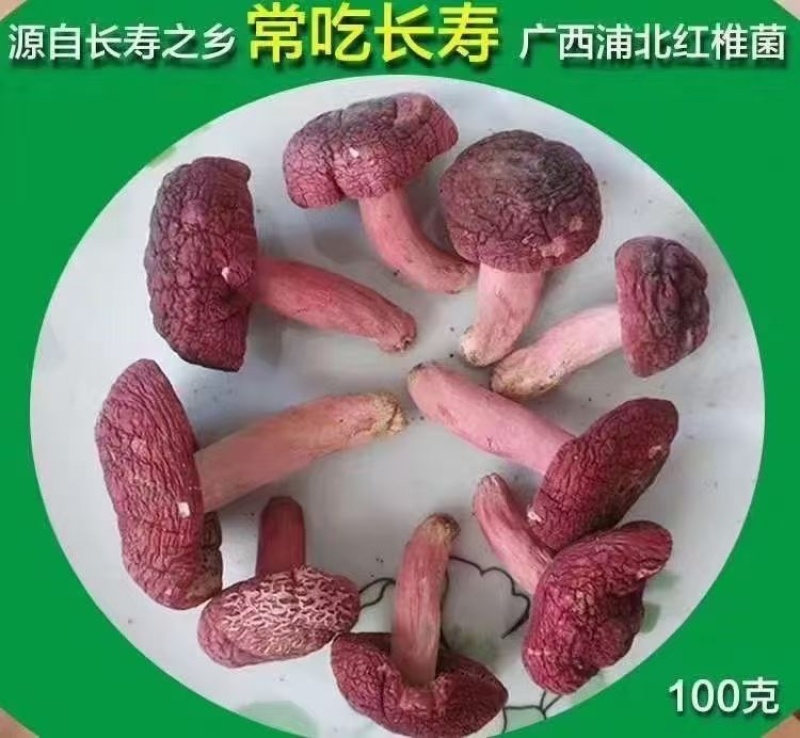 广西浦北县龙门镇野生红菇***免洗产地直销全国发货