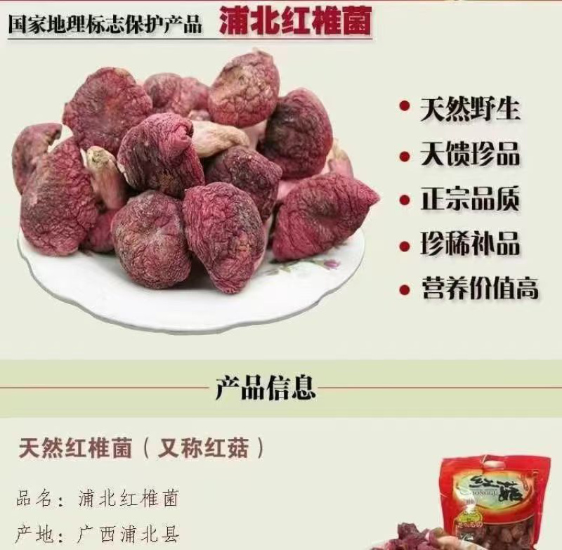 广西浦北县龙门镇野生红菇***免洗产地直销全国发货