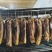 四川腊肉正宗四川特产农家自制五花腊肉传统工艺制作欢迎品尝