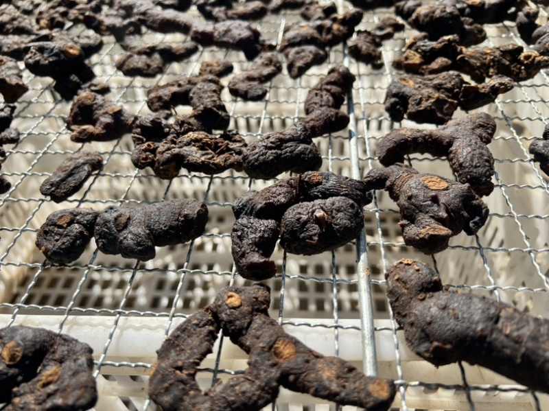 云南深山黄精多花制黄精滇黄精鸡头黄精不满意包退换