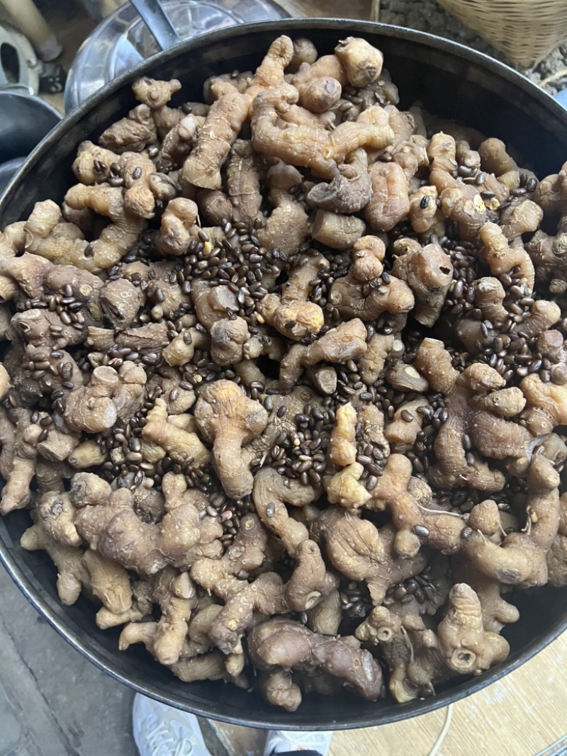 云南深山黄精多花制黄精滇黄精鸡头黄精不满意包退换