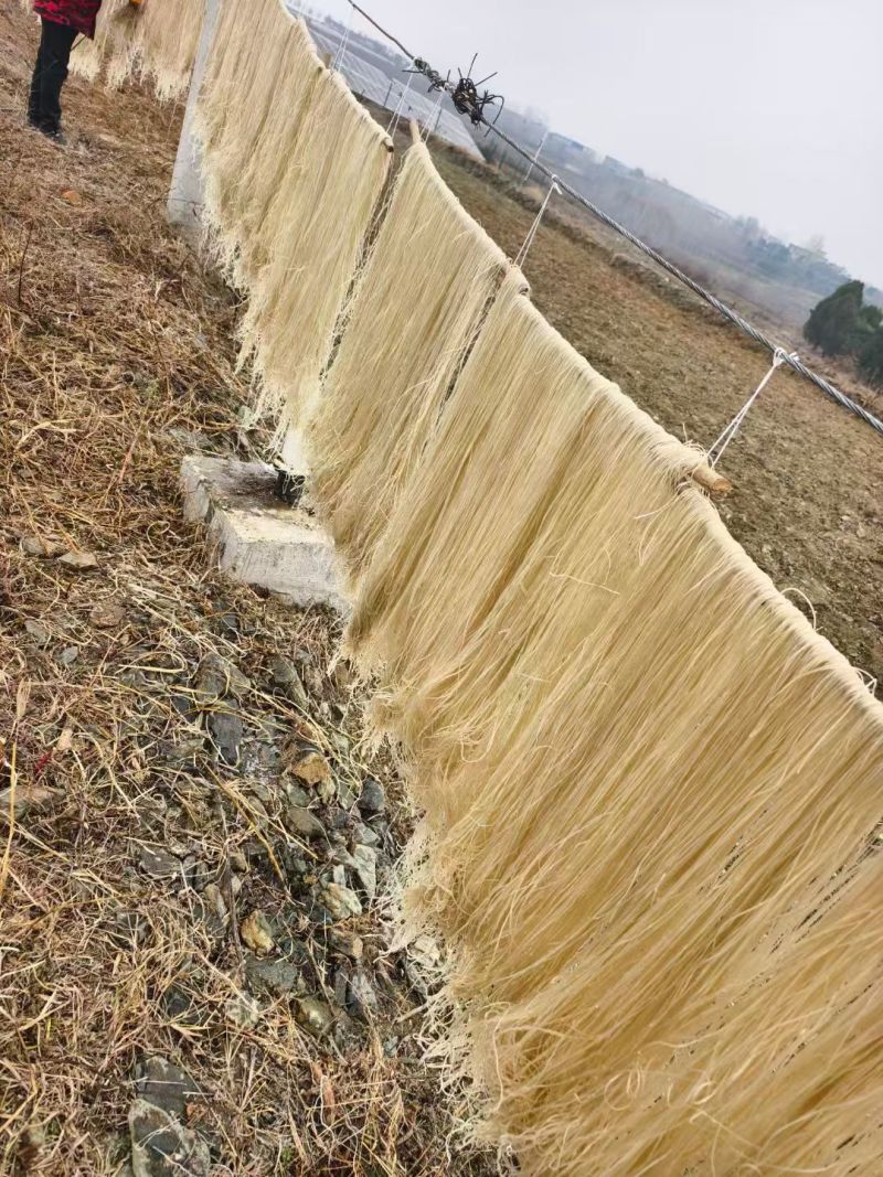 手工红薯粉条