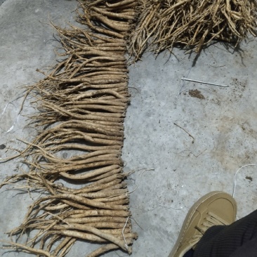 中小条串货