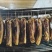 四川腊肉正宗四川特产农家自制五花腊肉传统工艺制作欢迎品尝