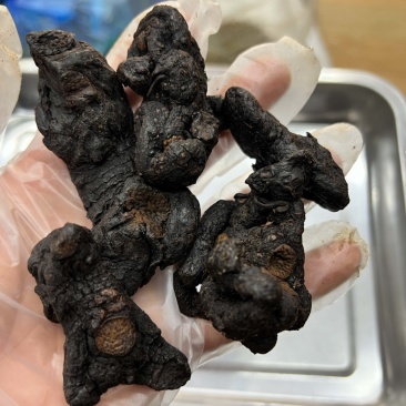 云南深山黄精多花制黄精滇黄精鸡头黄精不满意包退换